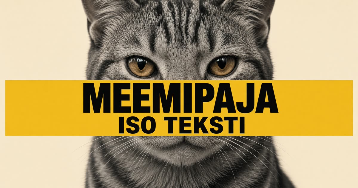 Screenshot of Meemipaja